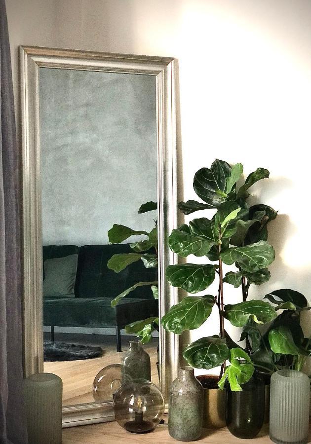 الشقق الفندقية Nový Jičínفي  Boutique Rezidence Baar المظهر الخارجي الصورة